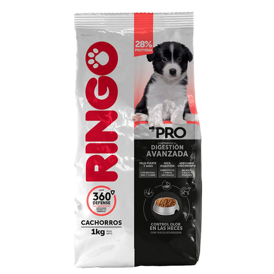 Ringo | Perros | Cachorros | Premium